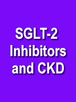 Use of SLGT-2 Inhibitors in Patients with Chronic Kidney Disease